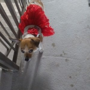 Meet your Posher, Joanna